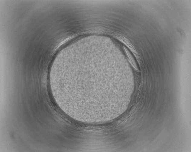 X0000115510434200912181448