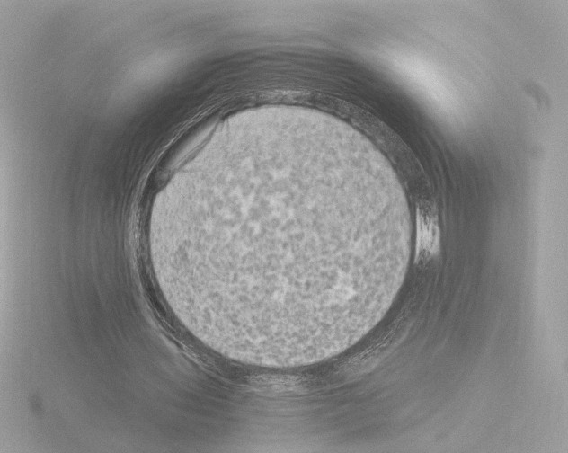 X0000115510435200912181448