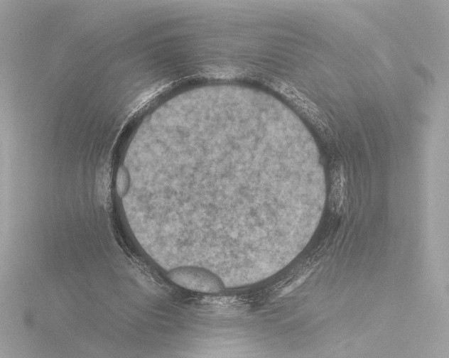 X0000115510440200912181448