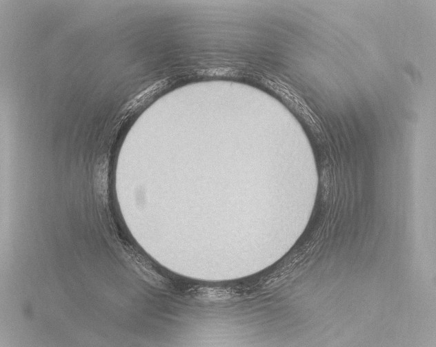 X0000115510442200912181448