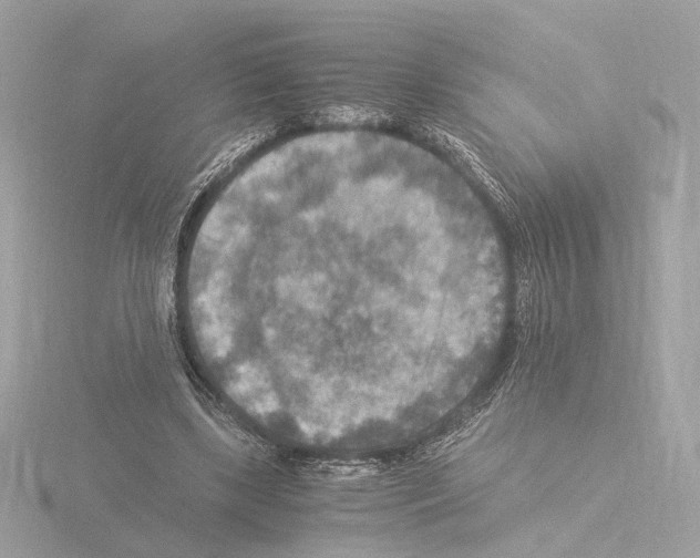 X0000115510443200912181448