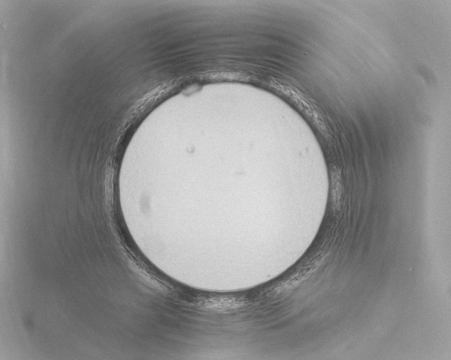 X0000115510445200912181448