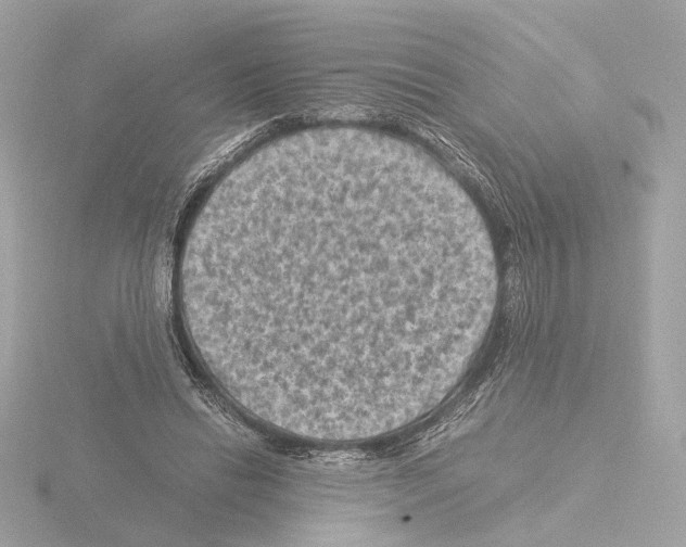 X0000115510446200912181448