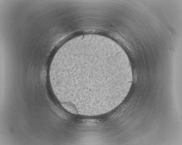 X0000115510448200912181448