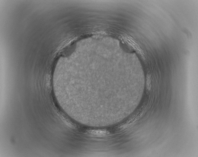 X0000115510449200912181448