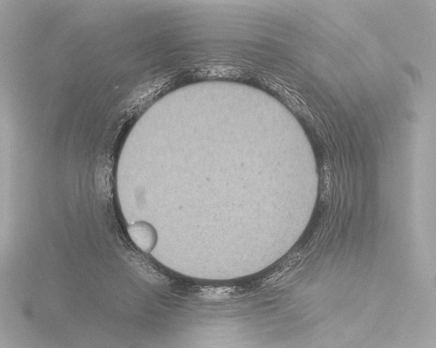 X0000115510450200912181448