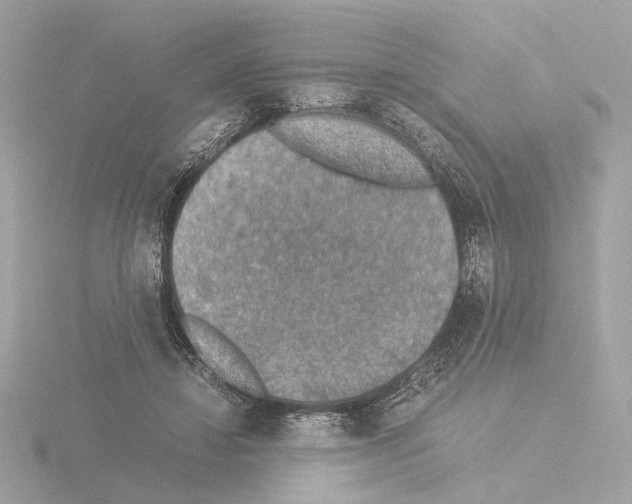 X0000115510452200912181449