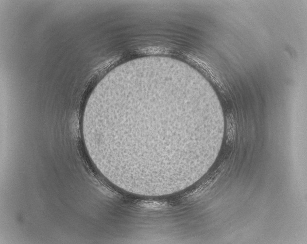 X0000115510453200912181449