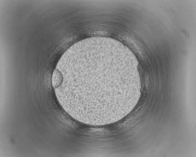 X0000115510457200912181449