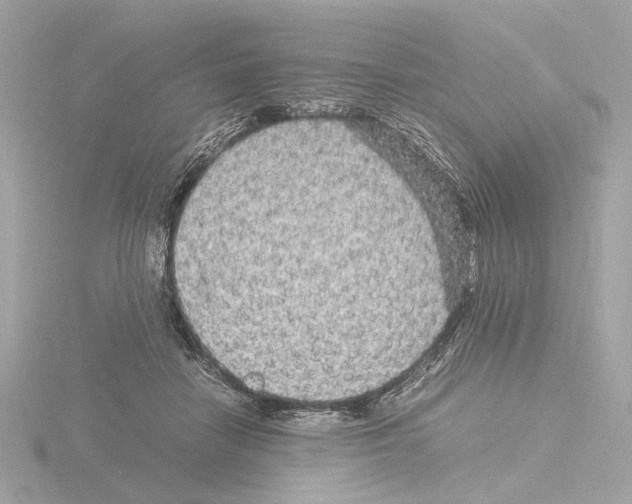 X0000115510458200912181449