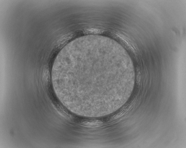 X0000115510459200912181449