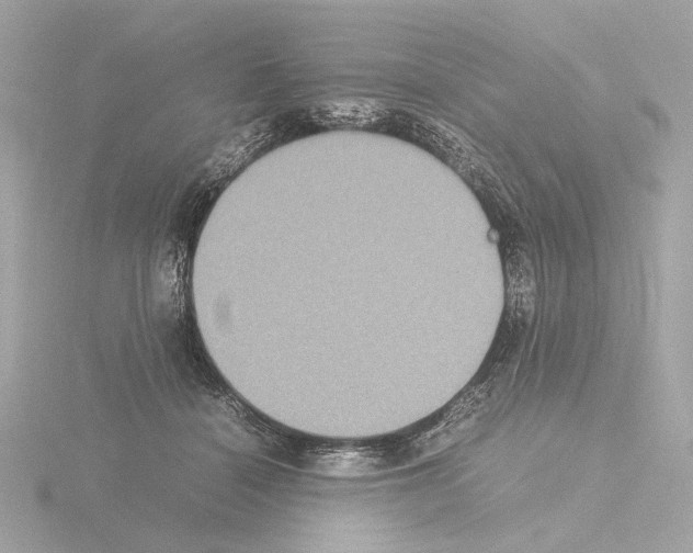 X0000115510460200912181449