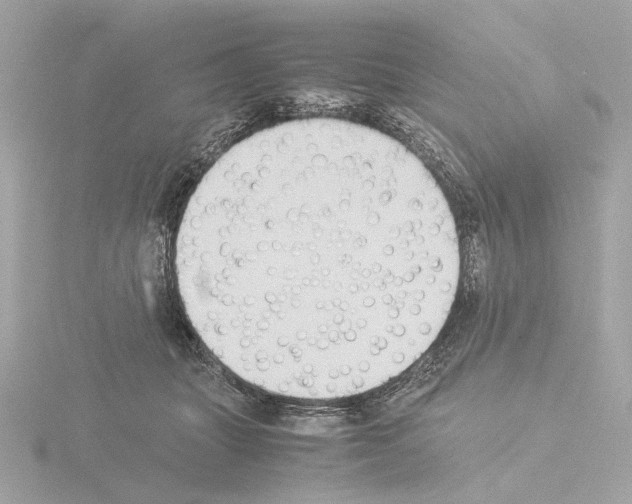 X0000115510463200912181449