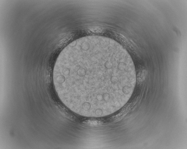 X0000115510464200912181449