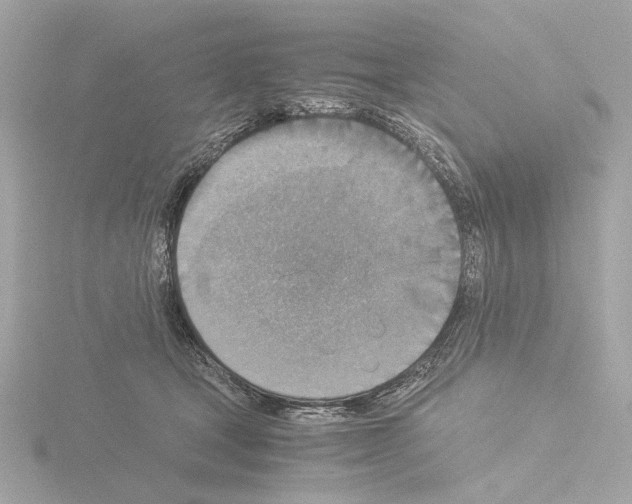 X0000115510465200912181449