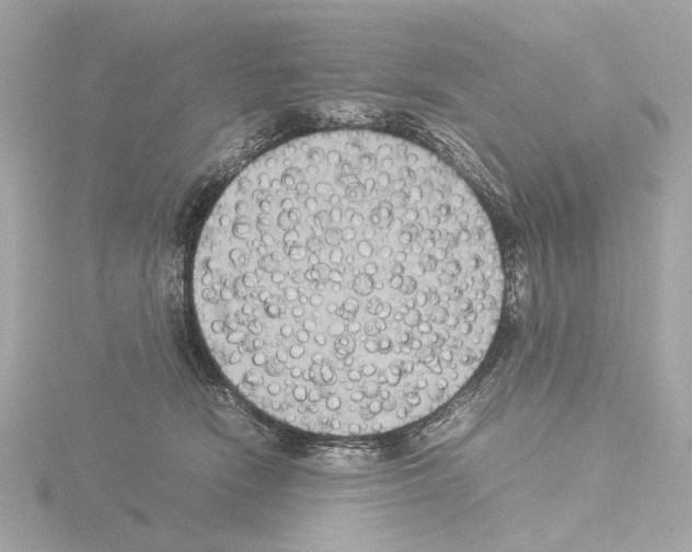 X0000115510466200912181449