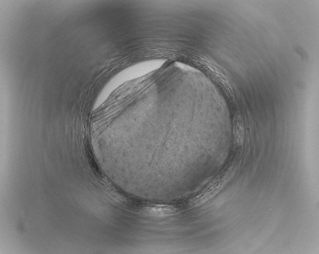 X0000115510467200912181449