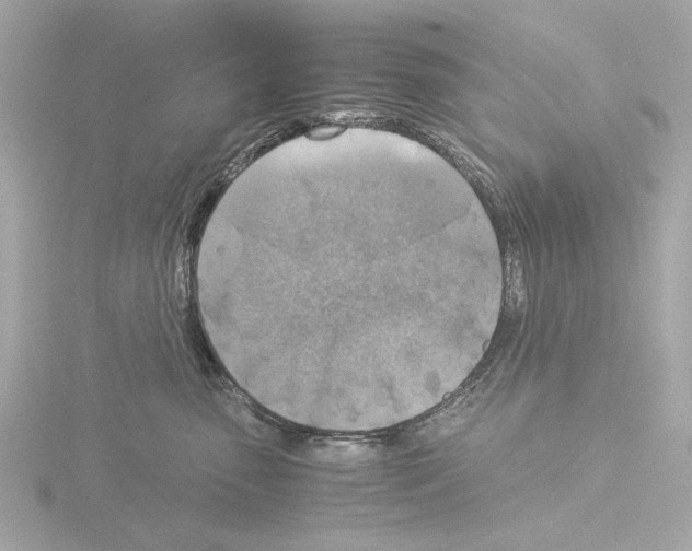 X0000115510475200912181449