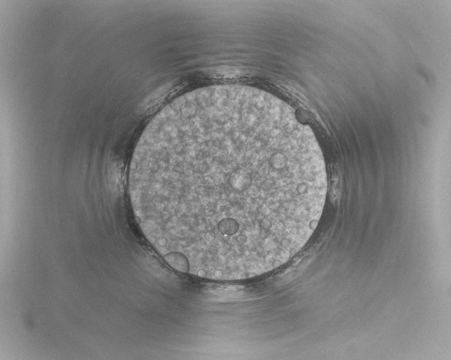 X0000115510476200912181449