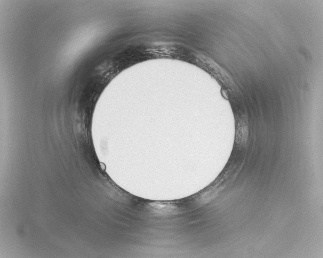 X0000115510477200912181449