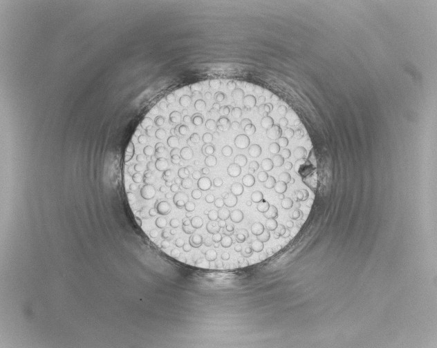 X0000115510478200912181449