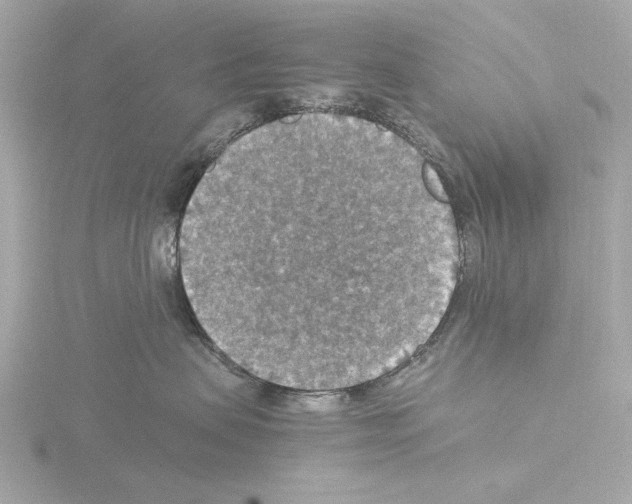 X0000115510479200912181449