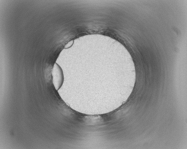 X0000115510480200912181449