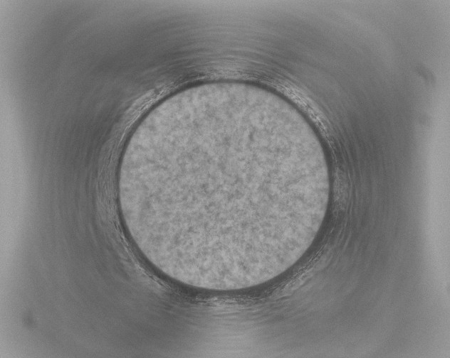 X0000115510481200912181448