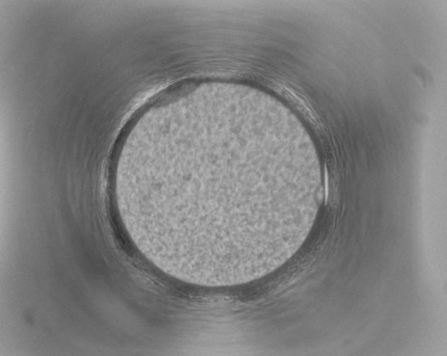 X0000115510483200912181448