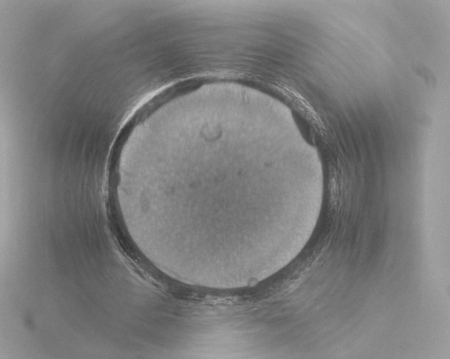 X0000115510484200912181448