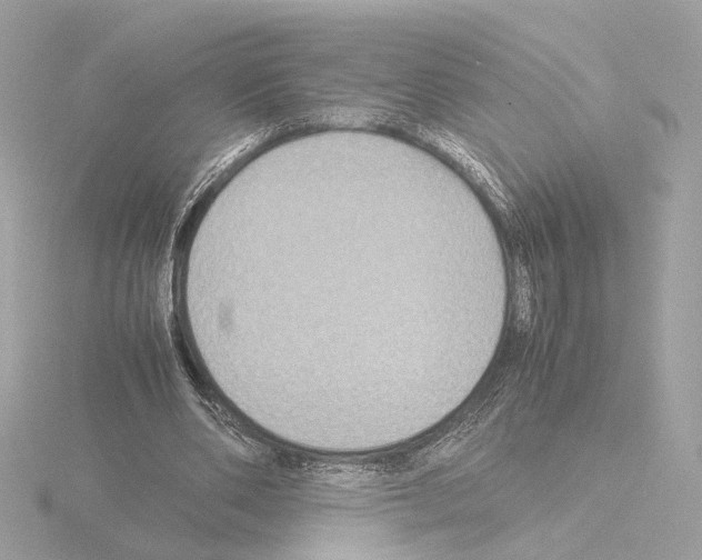 X0000115510486200912181448