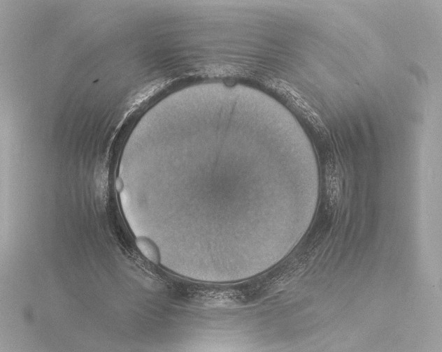 X0000115510488200912181448