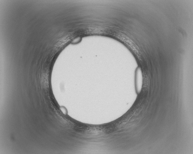 X0000115510489200912181448