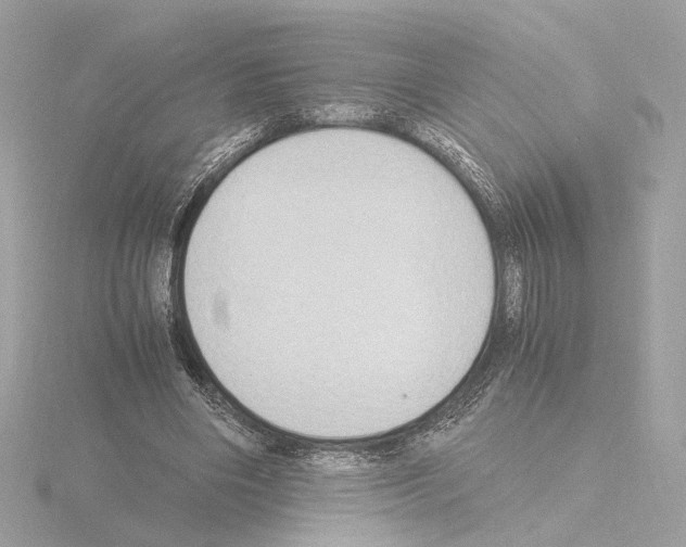 X0000115510490200912181448