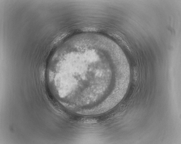 X0000115510491200912181448