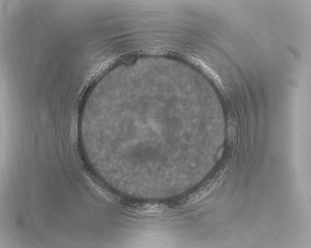 X0000115510493200912181448