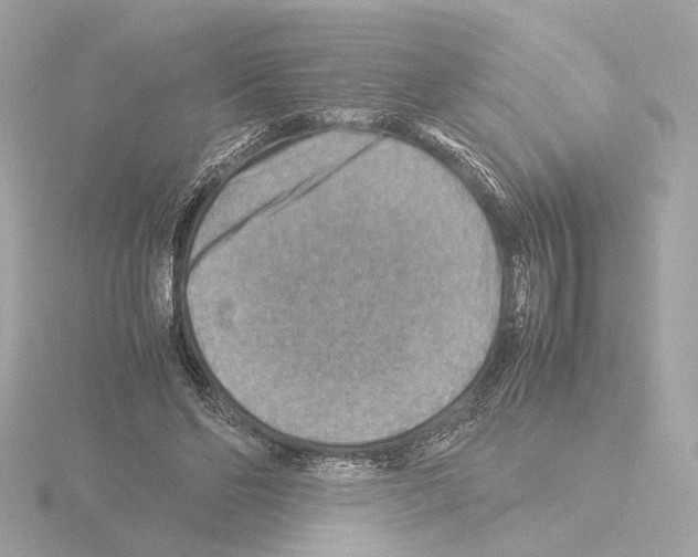 X0000115510494200912181448