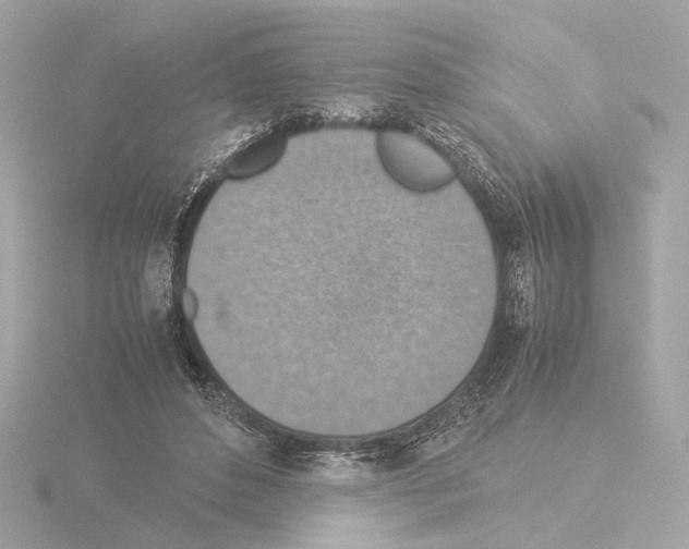 X0000115510496200912181448