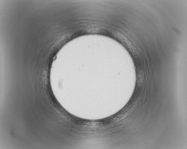 X0000115510497200912181448