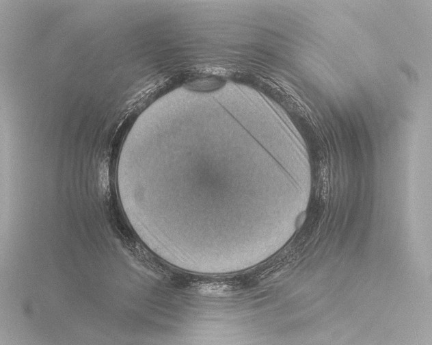 X0000115510500200912181448