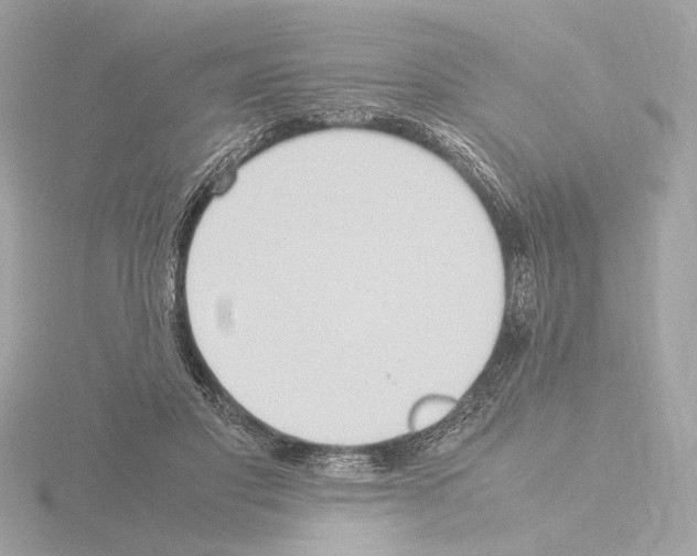 X0000115510501200912181448