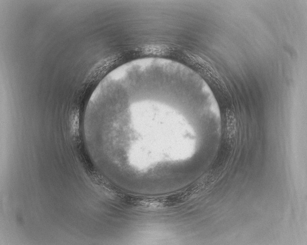 X0000115510502200912181448