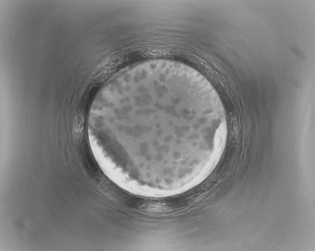 X0000115510507200912181448