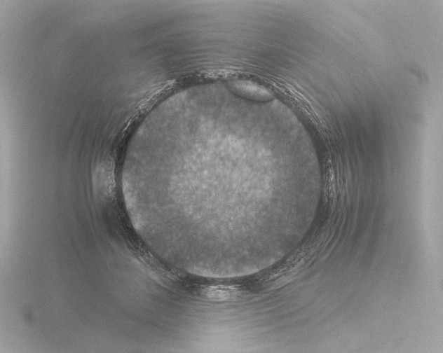 X0000115510508200912181448