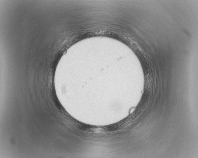 X0000115510509200912181448