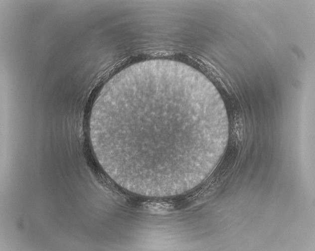 X0000115510512200912181448