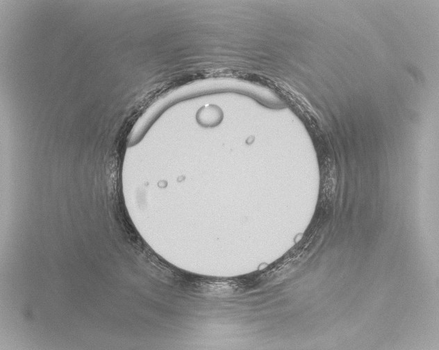 X0000115510513200912181448