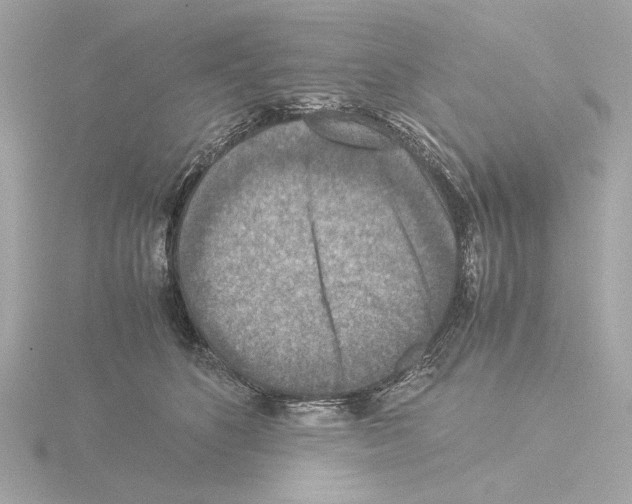 X0000115510516200912181448