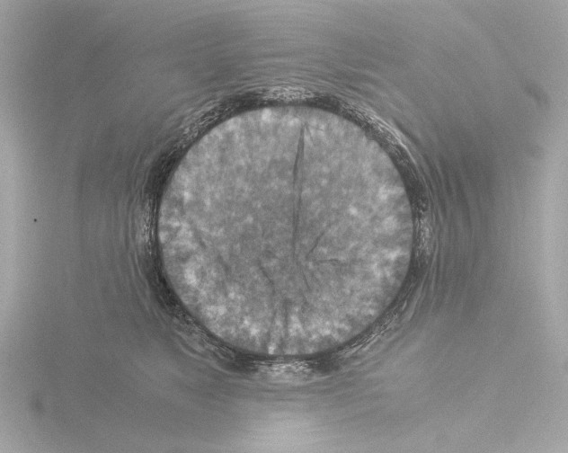 X0000115510517200912181448