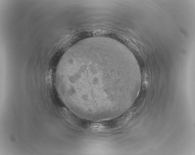 X0000115510519200912181448